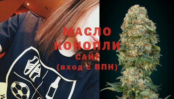 соль ск Надым