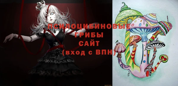 ECSTASY Нея