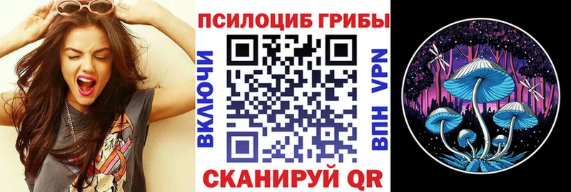 купить закладку  Амурск  kraken маркетплейс  Галлюциногенные грибы MAGIC MUSHROOMS 
