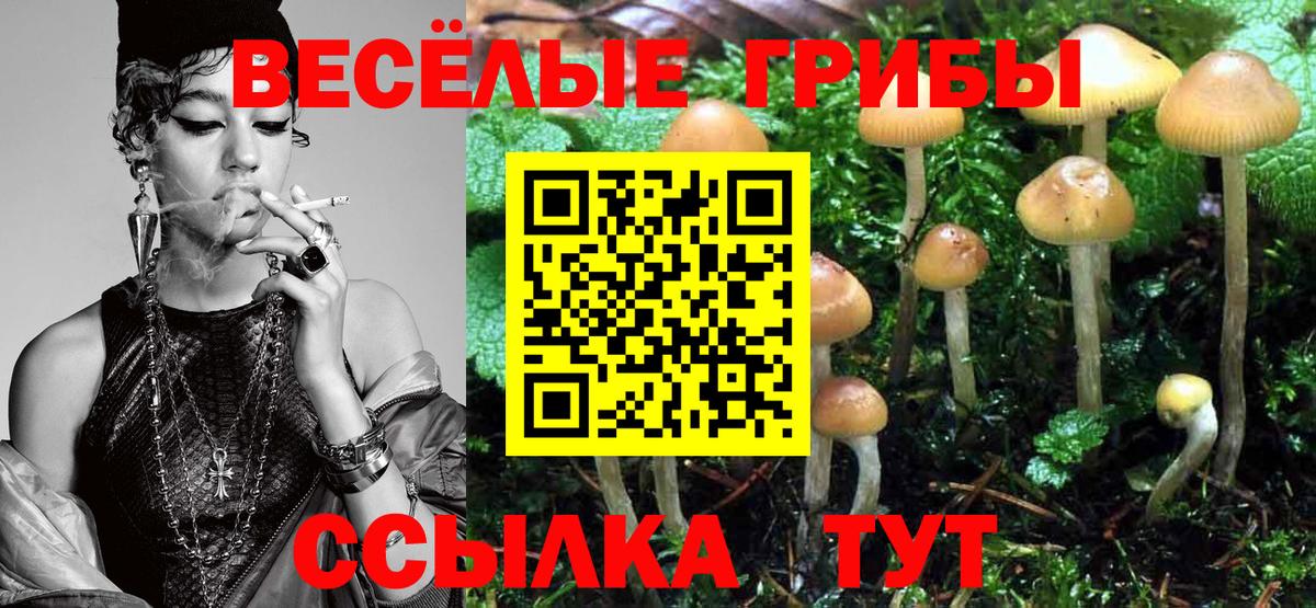 Галлюциногенные грибы MAGIC MUSHROOMS  Галлюциногенные грибы мицелий  Амурск 