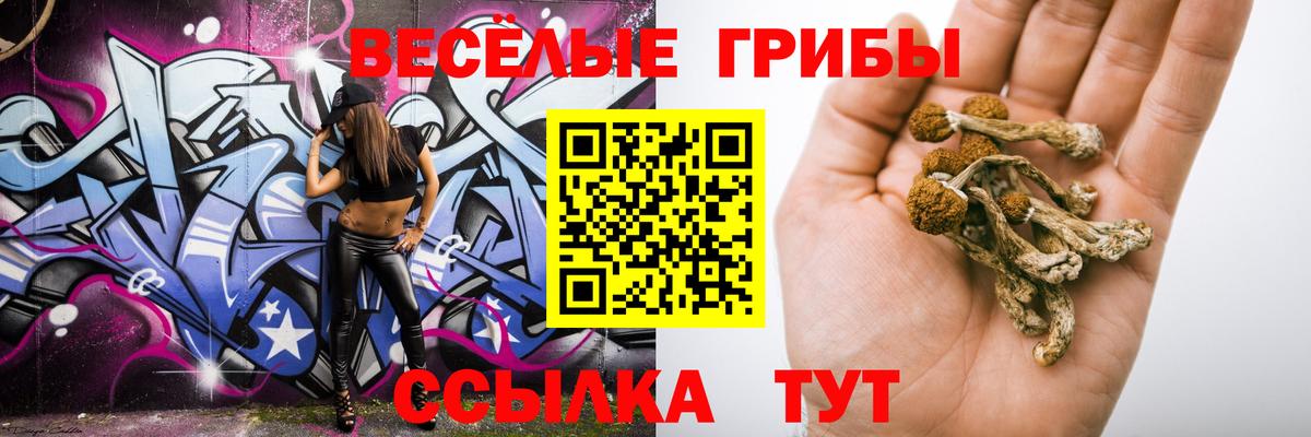 Псилоцибиновые грибы ЛСД Амурск