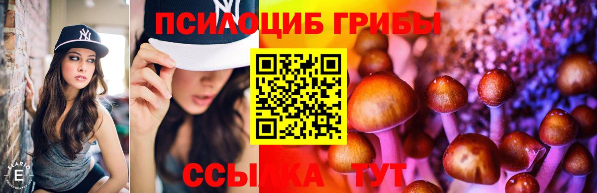 Галлюциногенные грибы Cubensis Амурск
